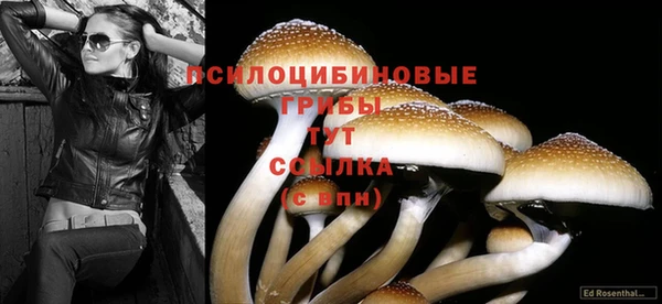 наркотики Ельня