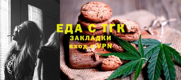 индика Алзамай