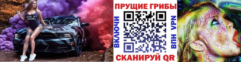 нарко площадка как зайти  blacksprut ССЫЛКА  Галлюциногенные грибы Magic Shrooms  Белозерск  где купить наркоту 
